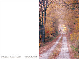 Waldst�ck am Marstadter See