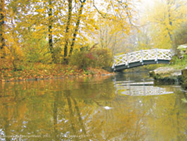 Kurpark Bad Mergentheim